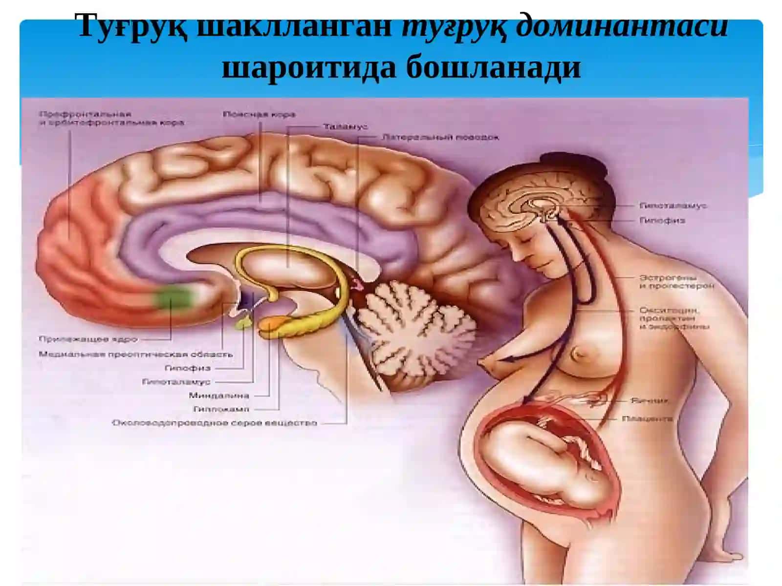 Кесар кесиш операциялари ва туғруқни бошқариш 4