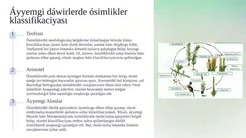Joqarı ósimliklerdiń Taksonomiyalıq tariyxı 4