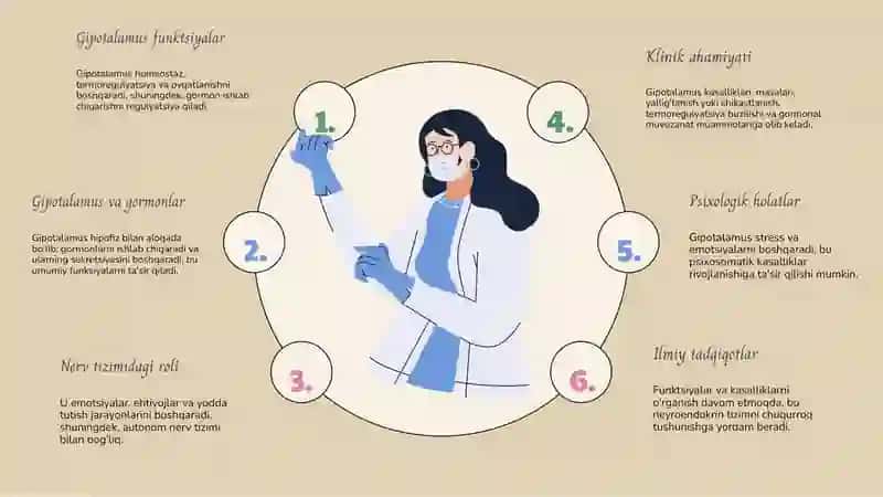 Gipotalamus yadrolarining anatomic tuzilishi va funktsiyalari 4