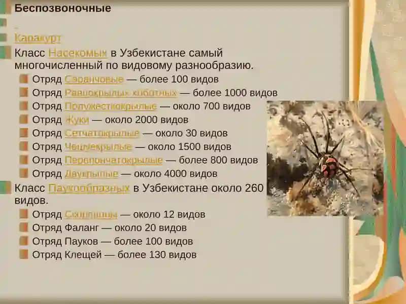 Фауна Узбекистана 4