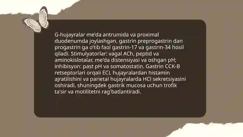 Me'da ichak nayining endokrin hujayralari 4