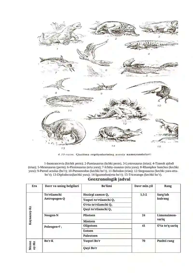 GEOXRONOLOGIK JADVAL, ERALAR, DAVRLARI BO’YICHA INDEKSI VA RANGLARINI O’RGANISH 4