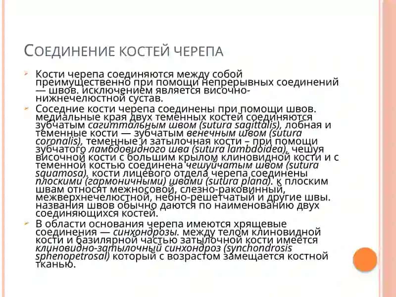 ИЗУЧЕНИЕ КОСТЕЙ ЧЕРЕПА В ВОЗРАСТНОМ АСПЕКТЕ 4