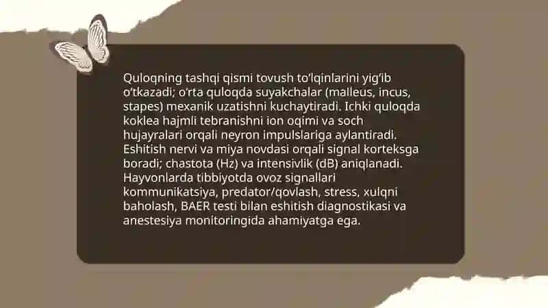 Tovush. Tovushning veterinatiyadagi ahamiyati va fiziologik xossalari 4