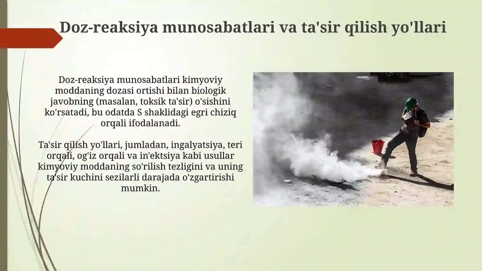 Kimyoviy moddalarning umumiy va maxsus toksik ta'sirlari 4