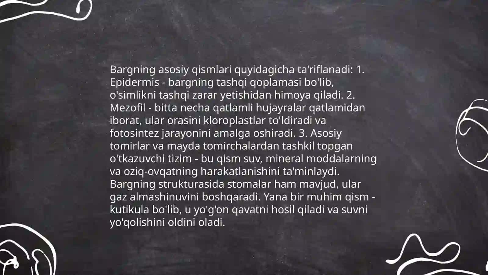 Barg va uning vazifalari 4
