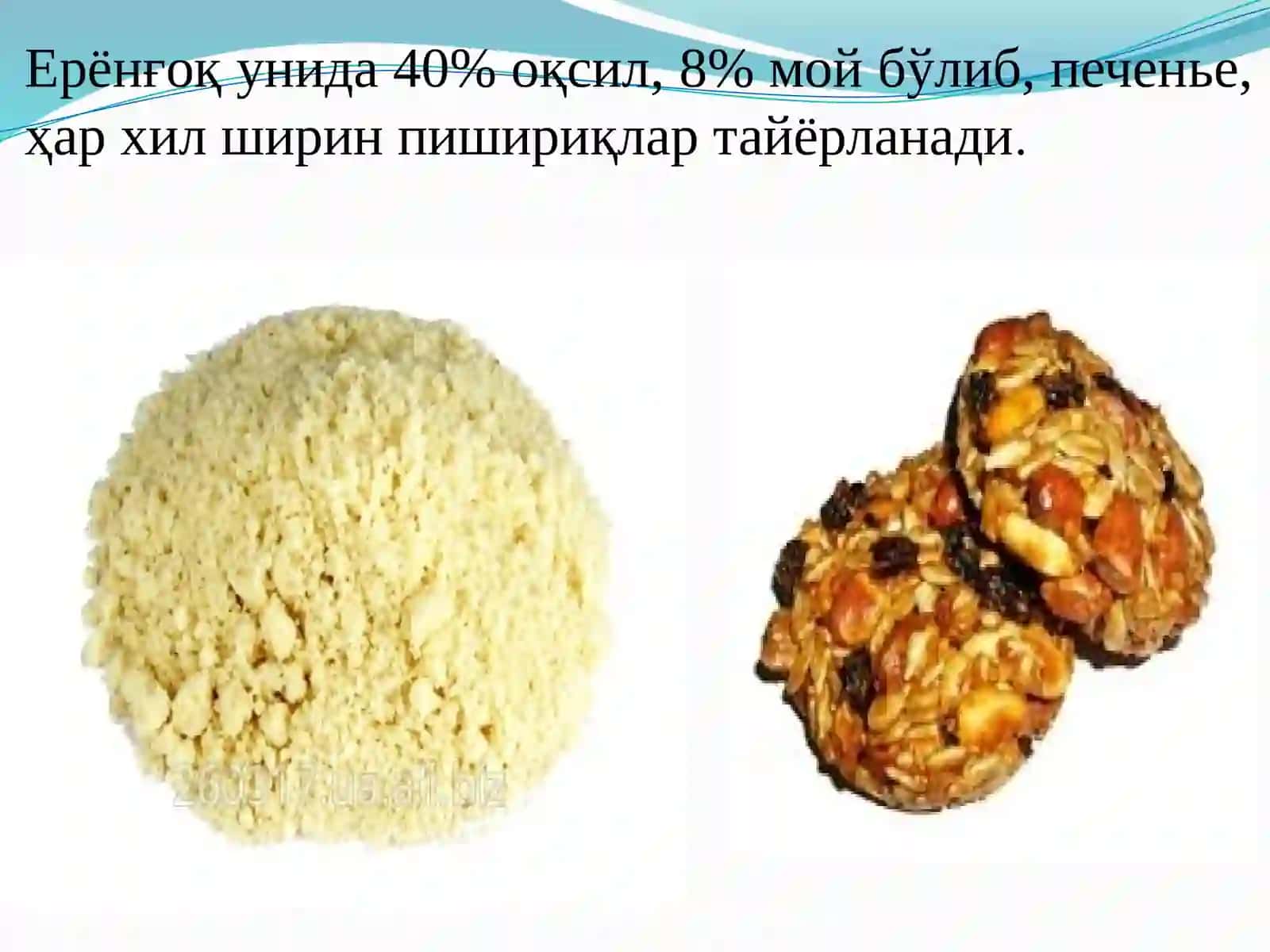 Ерёнғоқни такрорий экин сифатида етиштириш технологияси 4