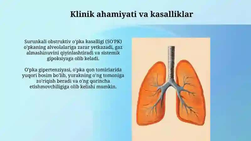 Sistem qon aylanishi 4