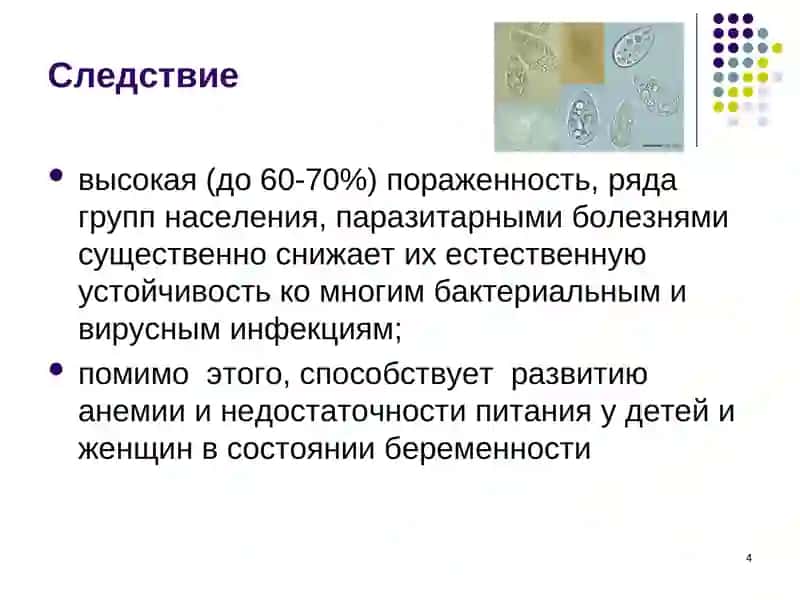 Диагностика, лечение и профилактика гельминтозов 4