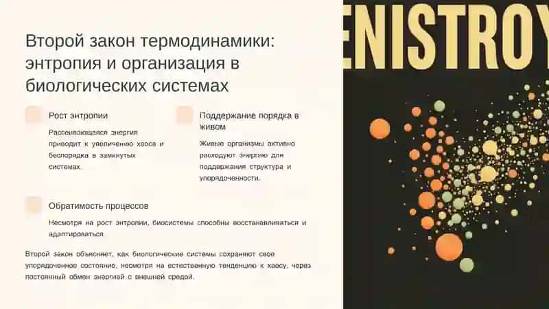 Законы термодинамики для живых организмов. Термография и её роль в диагностике 4