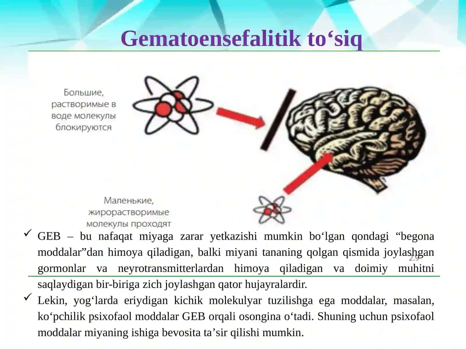 Psixofaol moddalar isteʼmoli profilaktikasi boʻyicha mutaxassislar uchun fiziologiya va farmakologiya 4