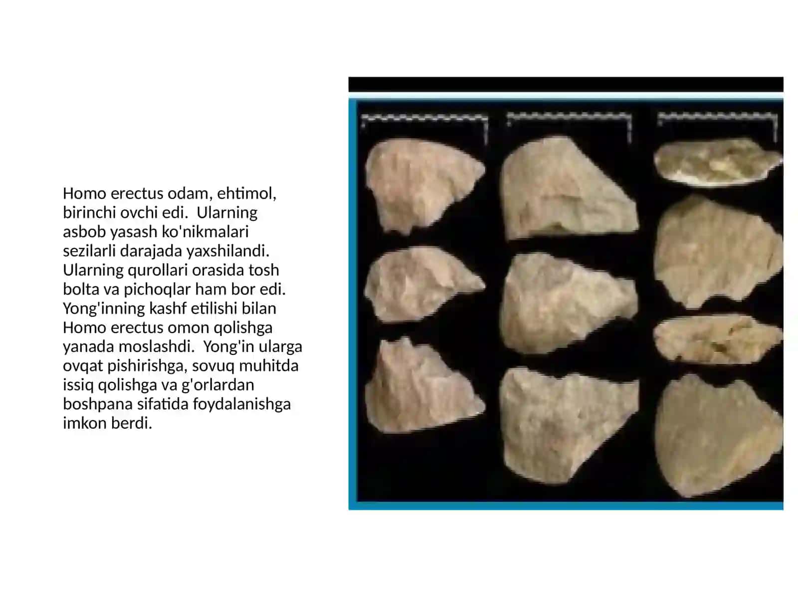 Xitoy hududidan topilgan Homo erectusning bosh chanog'i (Tiklangan) 4
