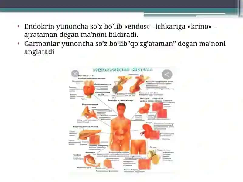 Ichkisekretsiyabezlari 4