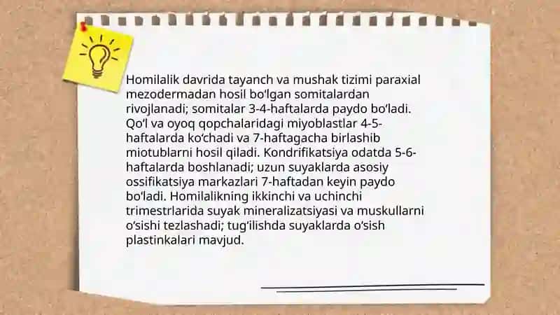 Tayanch va muskul tizimi va uning yoshga xos xususiyatlari 4