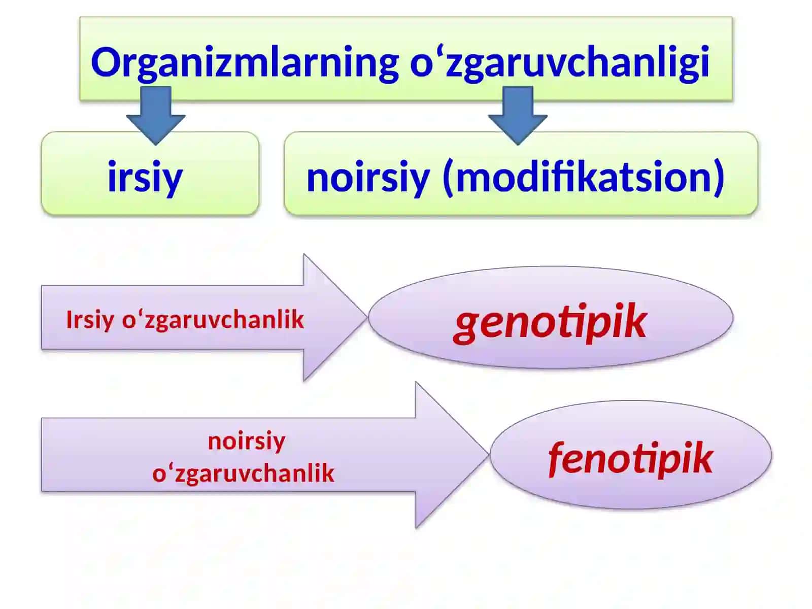 Irsiyat va o’zgaruvchanlik qonunlari 4