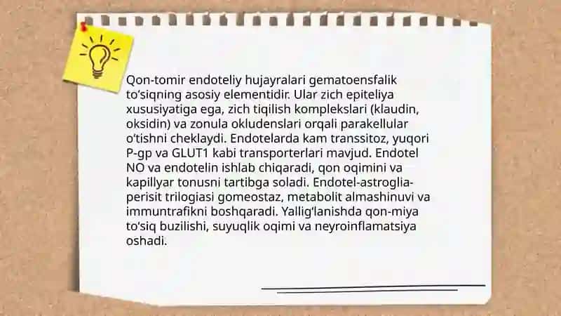 Gematoensfalik toʻsiq gistofiziologiyasi 4