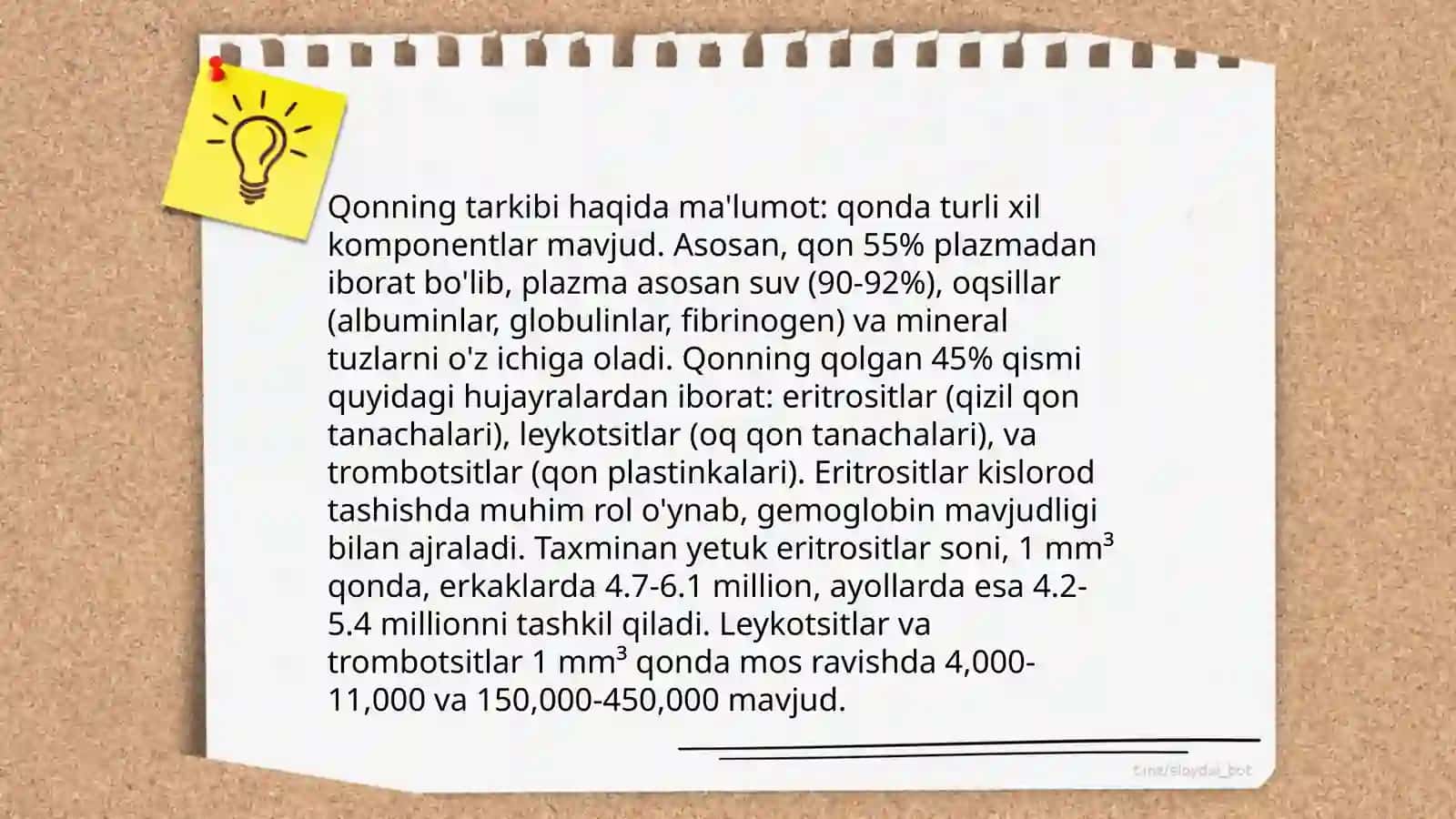 Qon Aylanish Tizimi 4