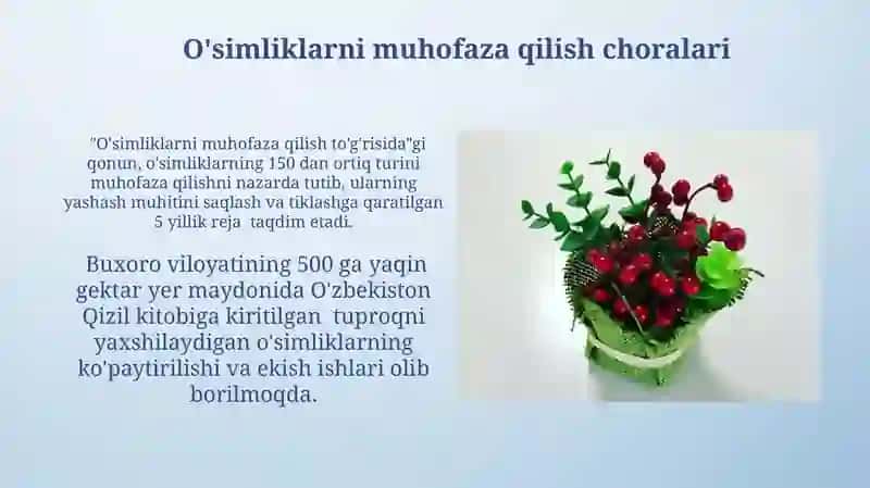 Qizil Kitobga kiritilgan o'simliklar 4