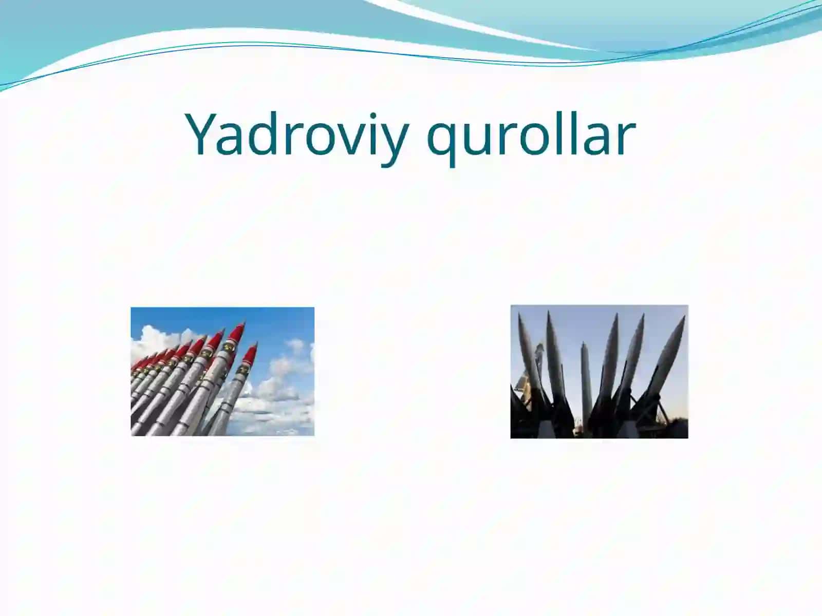 Ommaviy Qirg’in Qurollari 4