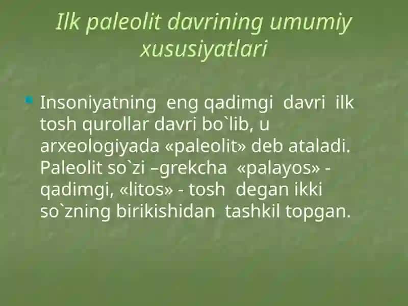 O`rta Osiyodagi Ibtidoiy Manzilgohlari 4