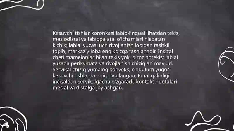 Frontal guruh tishlarning tuzilishi 4