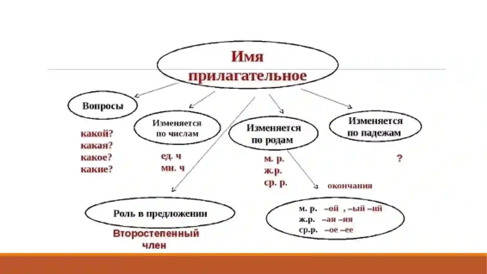ИМЯ ПРИЛАГАТЕЛЬНОЕ 4