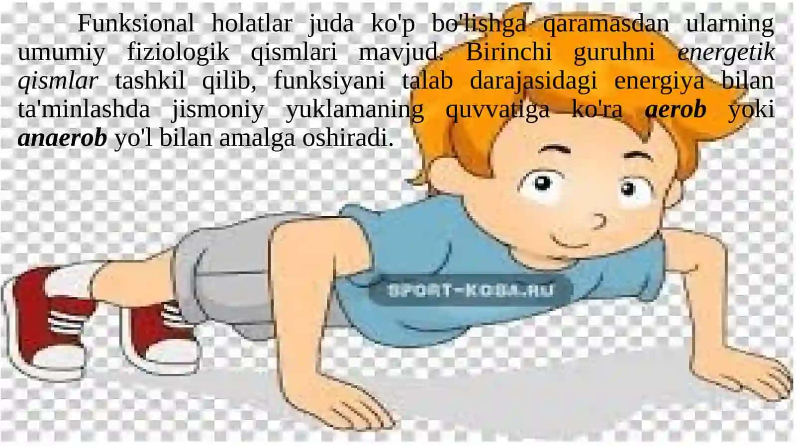 ORGANIZMINING FUNKSIONAL HOLATLARI 4