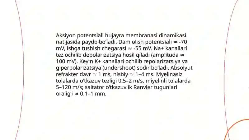 Neyron Membrana Potentsiali va Ion Oqimlari 4