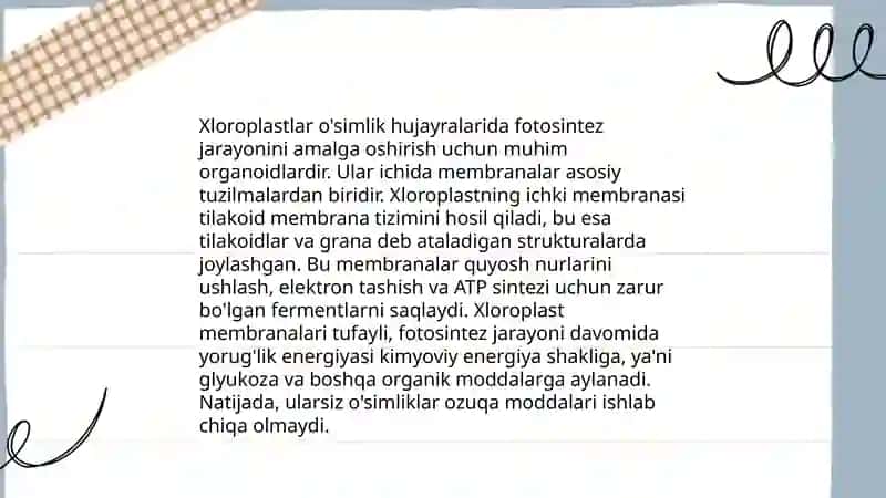 Xloraplastning tuzilishi 4