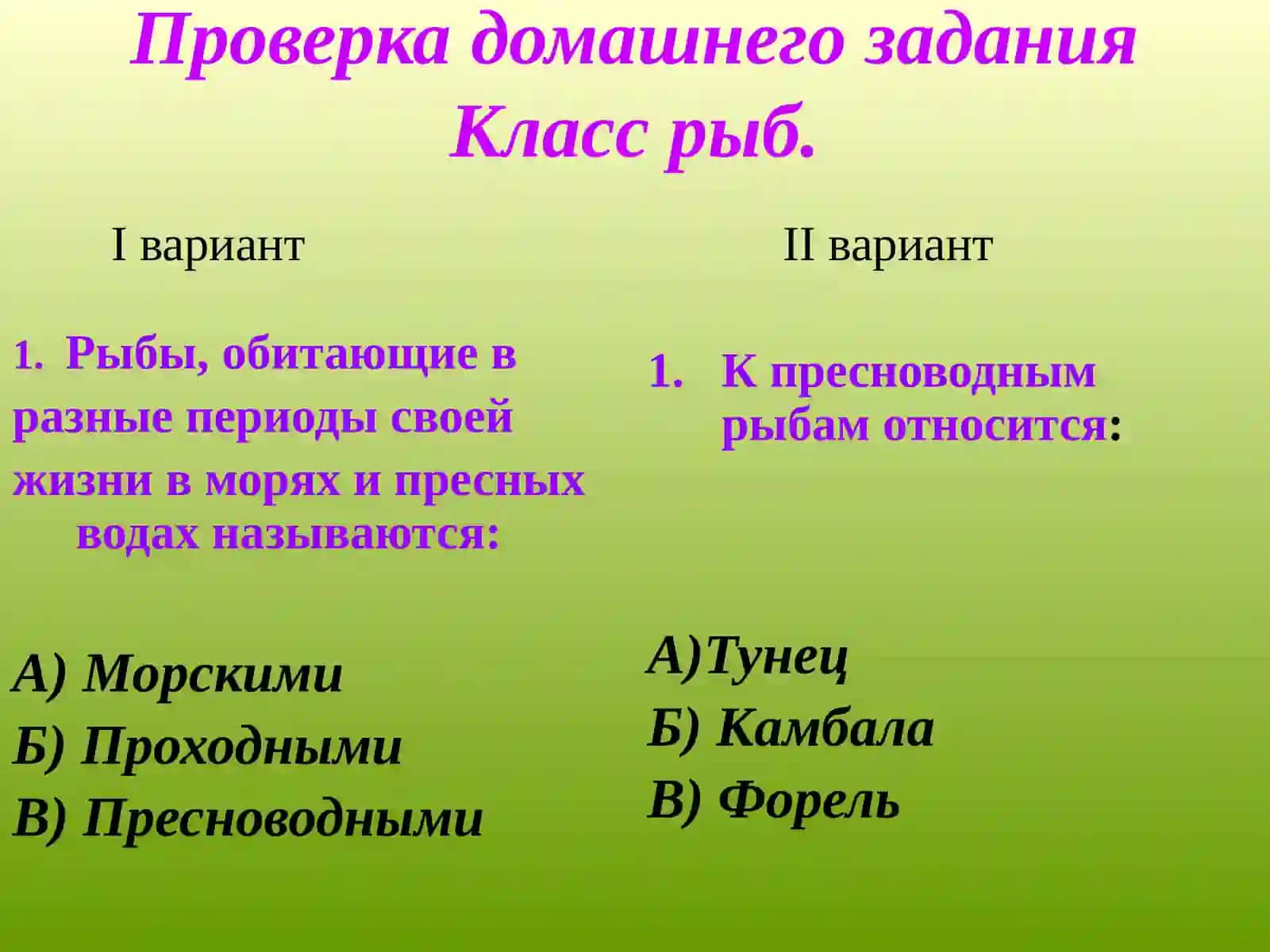 Класс рыб 4
