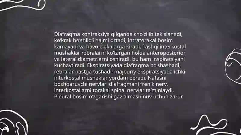 Nafas olish tizimi 4