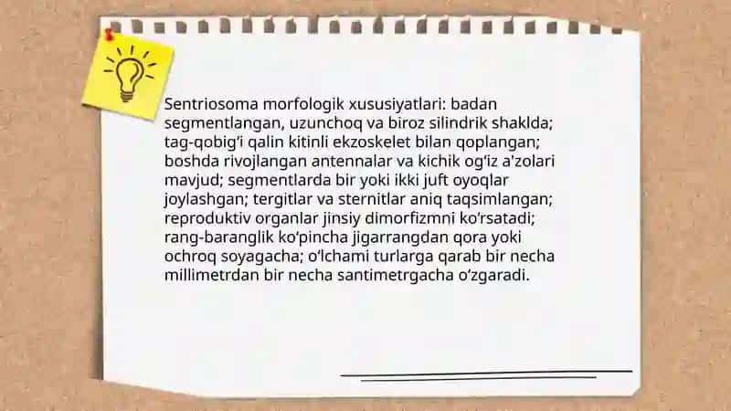 Sentriosoma 4