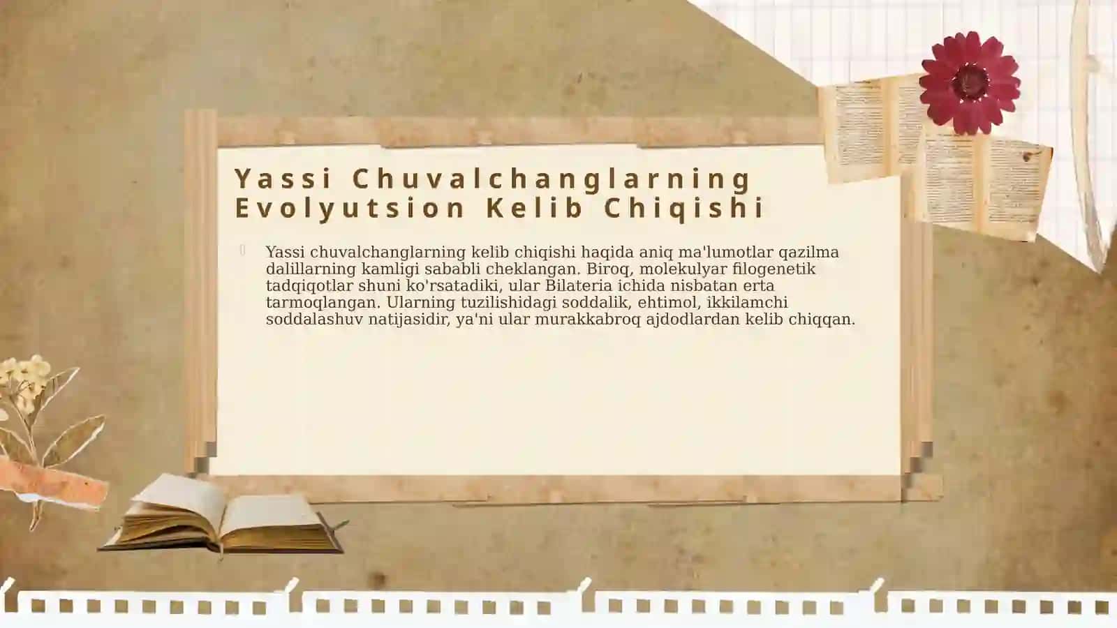 Yassi Chuvalchanglar Filogenezi 4