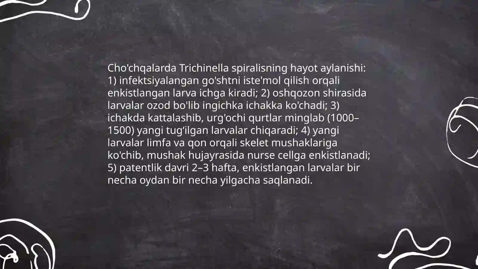 Chòchqaning paraziti: Trichinella spiralis 4