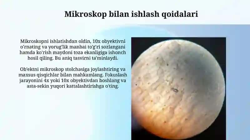 Mikroskop 4