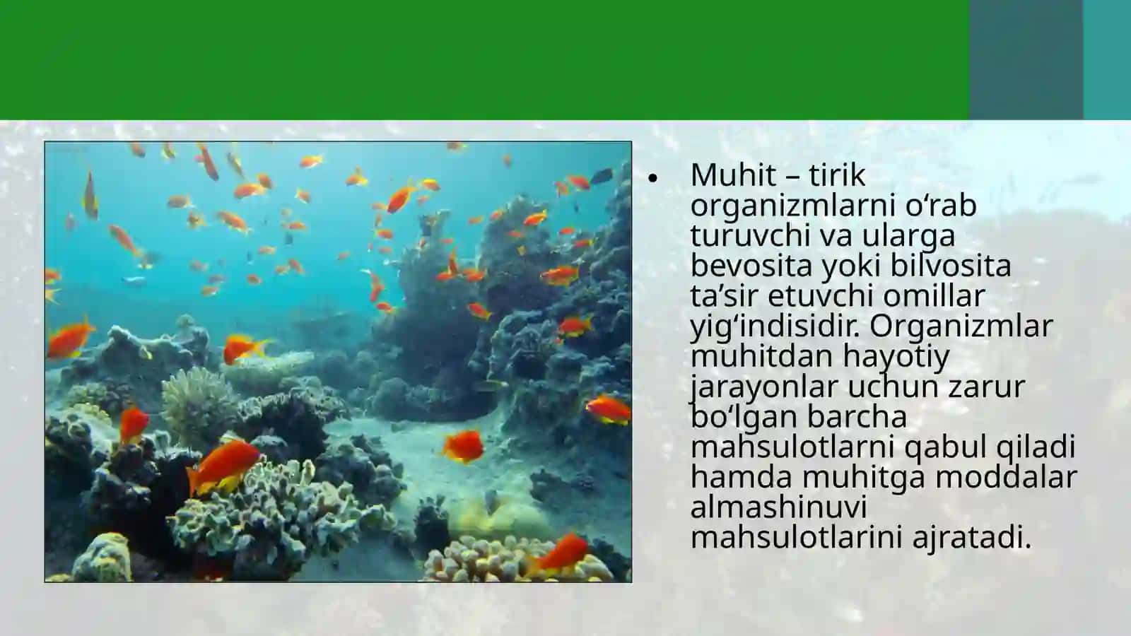 Organizmlarning yashash muhitiga suv muhitiga 4