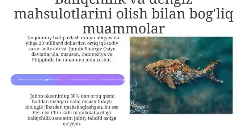 Okean resurslaridan foydalanish muammolari 4