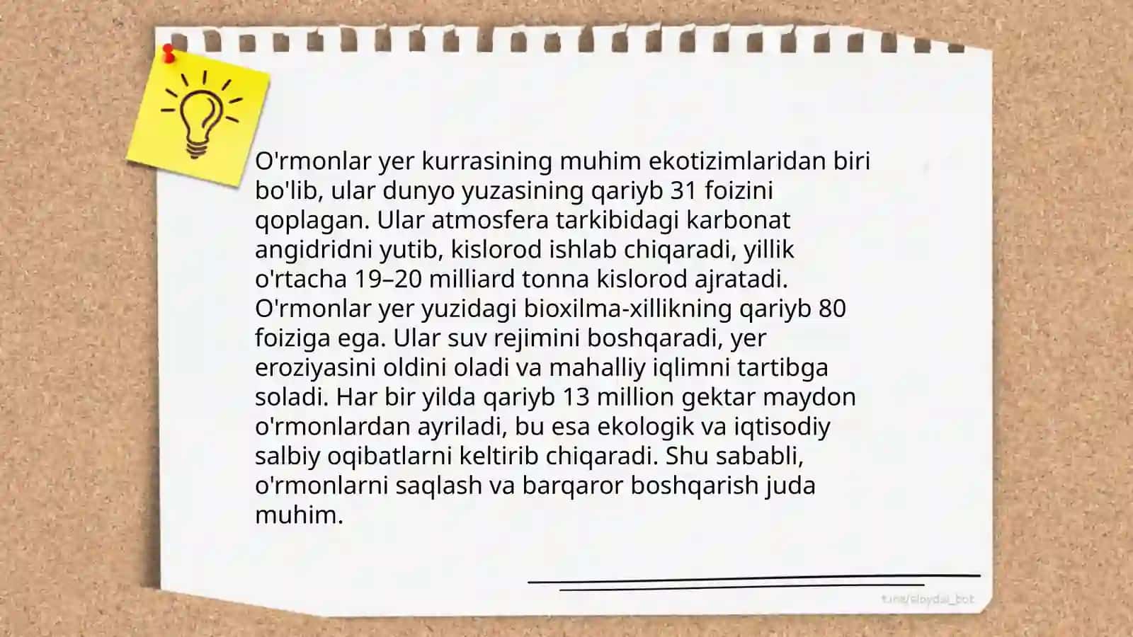 O'zbekiston tabiati va iqlim sharoitlari 4