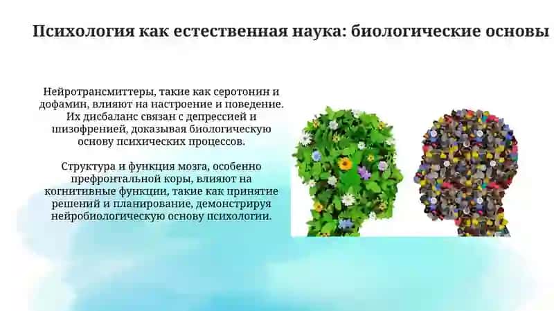 Психология как естественнонаучная и социально-научная наука 4