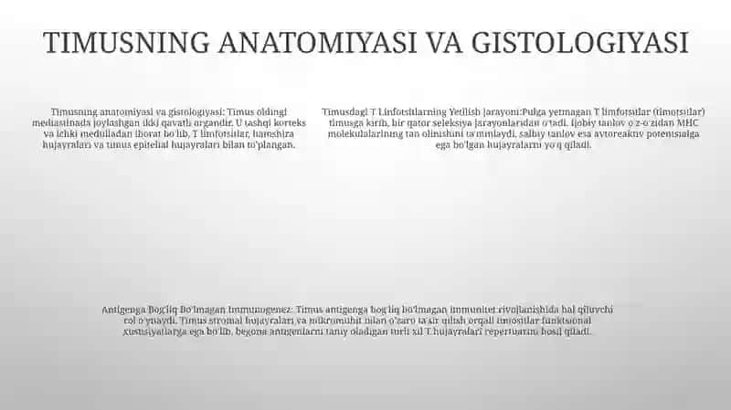 Timusdagi T Linfotsitlarning Yetilish Jarayon (Antigenga BogʻLiq BoʻLmagan Immunogenez 4