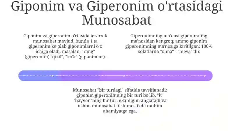 Giponimiya va Giperonimiya: Ta'riflar va Misollar 4
