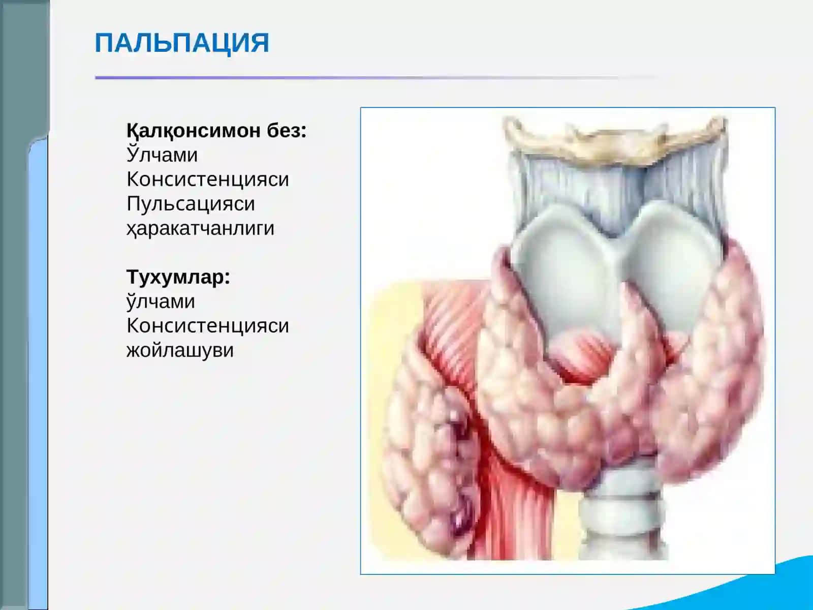 Эндокрин тизими касалликлари бўлган беморларни текшириш. Қандли диабет, гипо ва гипертиреознинг асосий клиник симптомлари 4