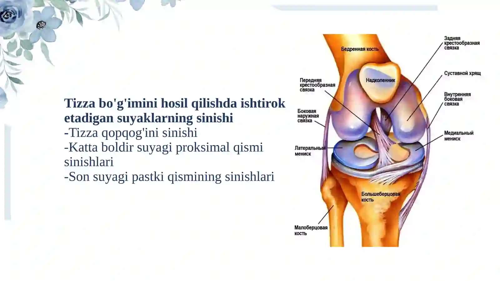 Kattalar va bolalarda tizza bo'g'imini shikastlanishlari: menisklar va boylamlarini shikastlanishlari, tizza qopqog’ini chiqishlari. 4