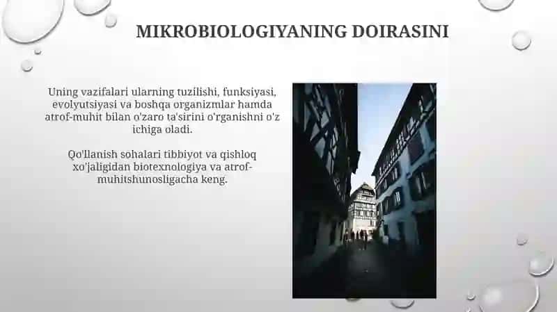 Mikrabiologiya fanining ob' yekti va vazifalari 4