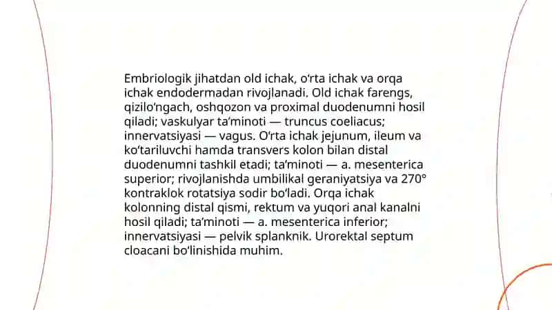 Hazm tizimi embrional rivojlanishi: gut tube va germ qatlamlari roli 4