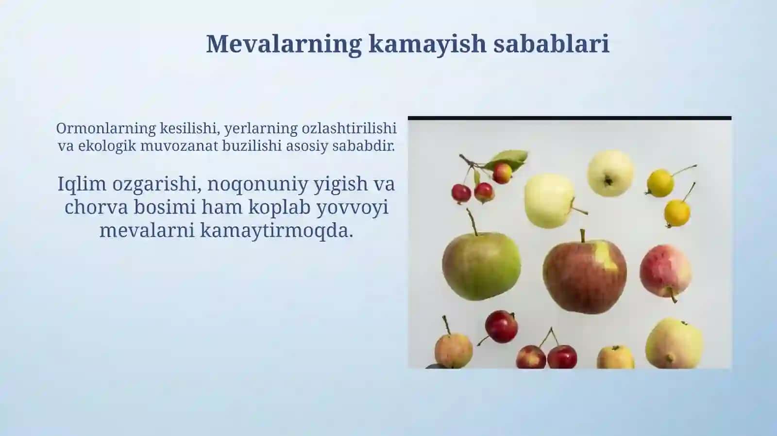 Qizil kitobga kiritilgan mevalar 4
