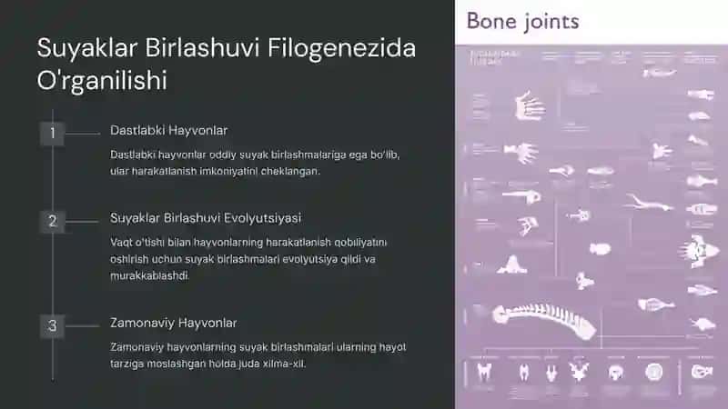 Suyaklar birlashuvinio'rganish va preparovka usullari 4