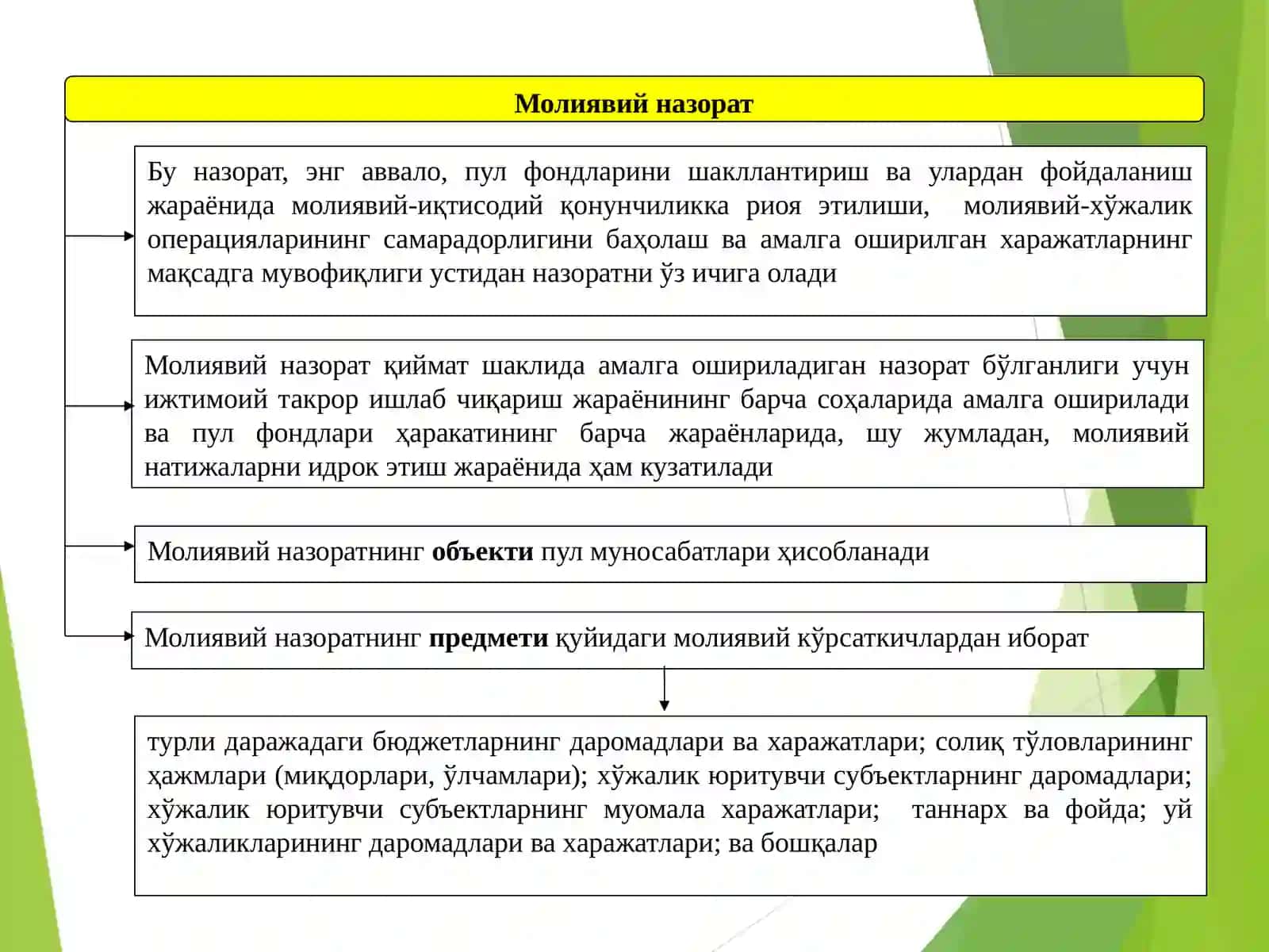 Молиявий назоратни амалга ошириш асослари 4