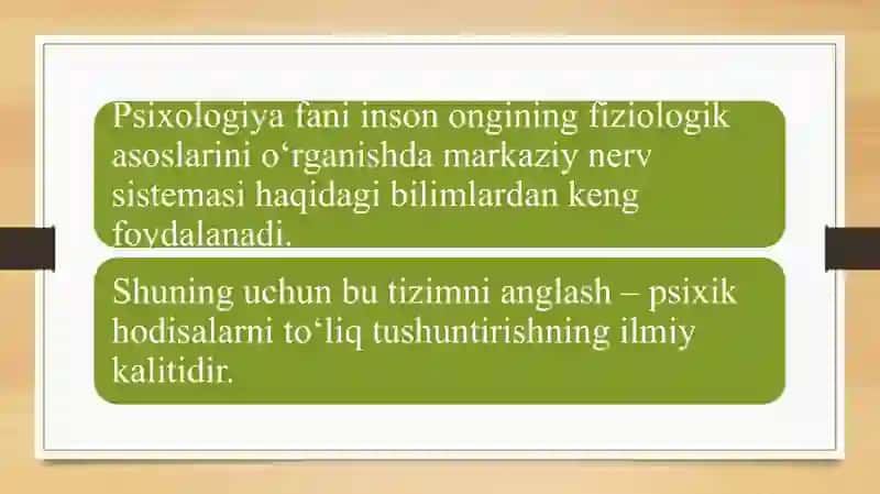 Markaziy nerv sistemasi 4