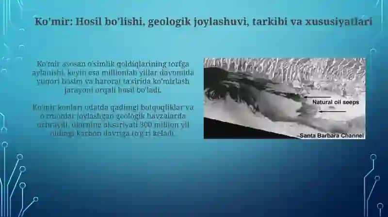 Uglerod xomashyosining tabiiy manbalari 4